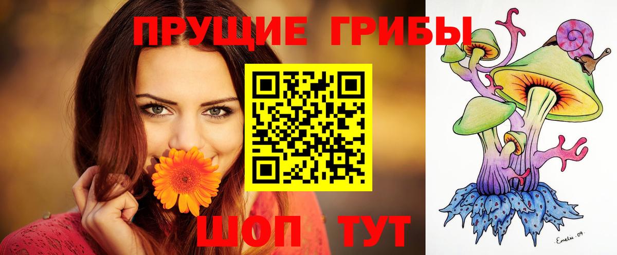 Таганрог  Псилоцибиновые грибы Cubensis  Вход с VPN 